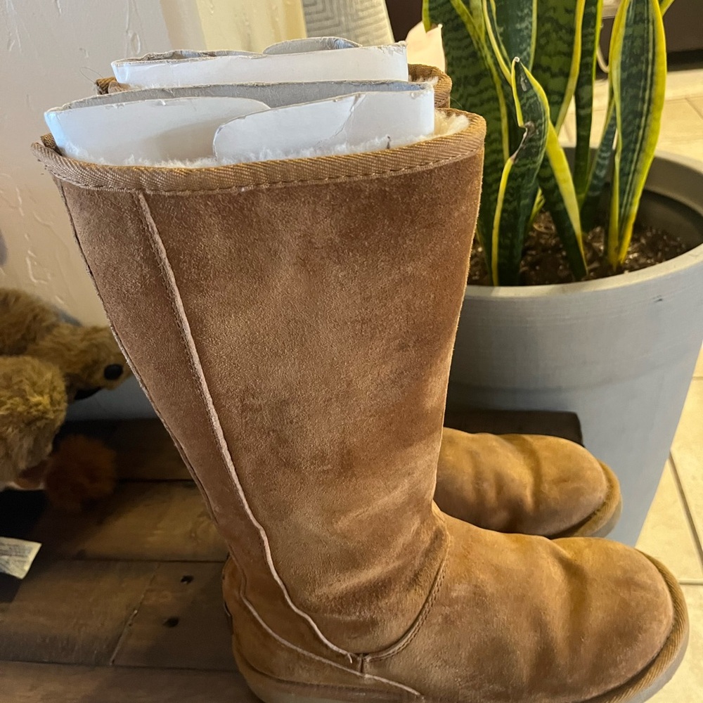 UGG Tan Suede Home Boots